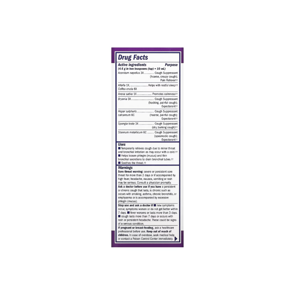 Boericke & Tafel Nighttime Cough & Bronchial Syrup (1x8 Oz)
